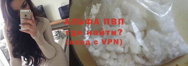 мдпв Краснослободск
