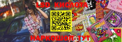 крисы Камышлов
