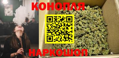 кокс Кандалакша