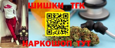 крисы Камышлов