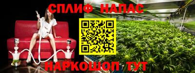 крисы Камышлов