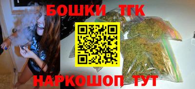 крисы Камышлов
